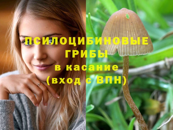 эйфоретик Балахна