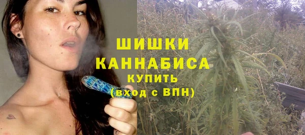 эйфоретик Няндома