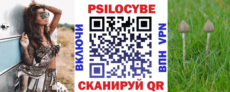 Псилоцибиновые грибы мицелий  мега маркетплейс  Лениногорск  магазин   