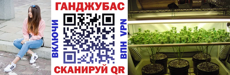 это клад  Лениногорск  Бошки марихуана White Widow 